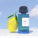 Citrus Riviera - Eau de Parfum 100ml - immagine 3