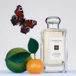 Lime Basil & Mandarin - Cologne - immagine 3