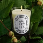 Noisetier - Candela - immagine 3