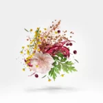 Zefiro - Eau de Parfum - immagine 3