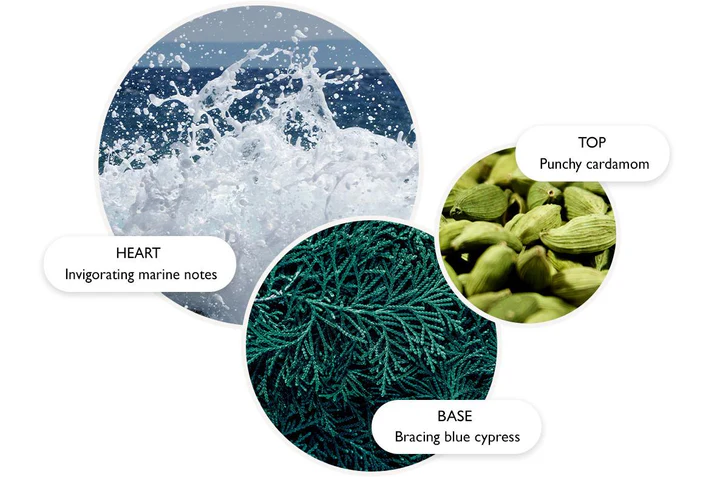 Coastal Cypress & Sea Fennel - Eau de Parfum 100ml - immagine 3