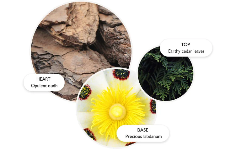 Labdanum Dusk - Eau de Parfum 100ml - immagine 3