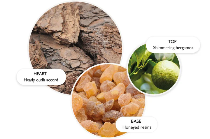 Mesmerising Oudh Accord & Gold - Eau de Parfum 100ml - immagine 3