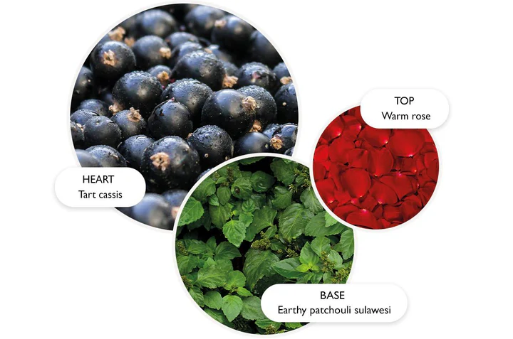 Rose Dunes - Eau de Parfum 100ml - immagine 4