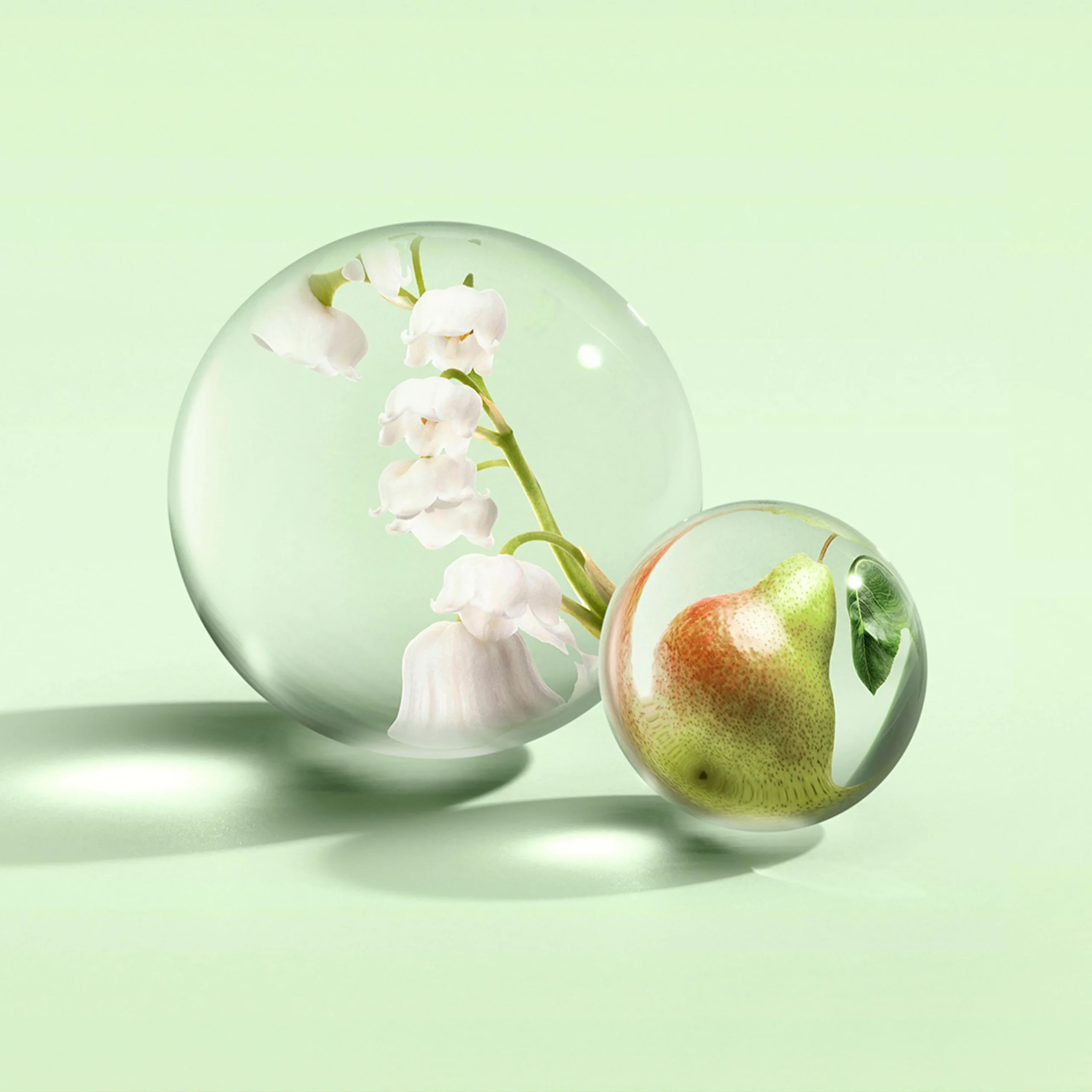 Lily & Magnolia Blossom - Eau de Parfum 100ml - immagine 3